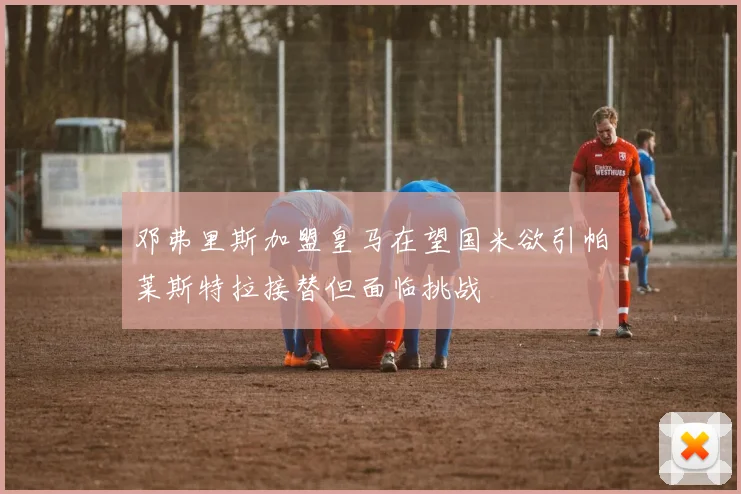 邓弗里斯加盟皇马在望国米欲引帕莱斯特拉接替但面临挑战