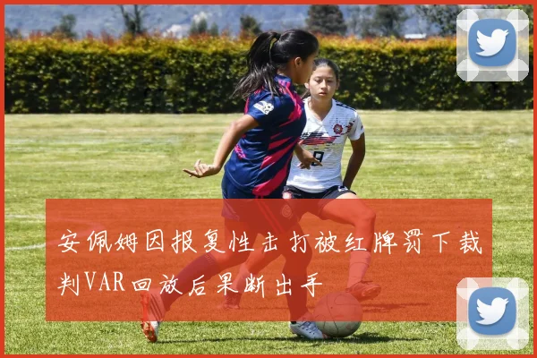 安佩姆因报复性击打被红牌罚下裁判VAR回放后果断出手