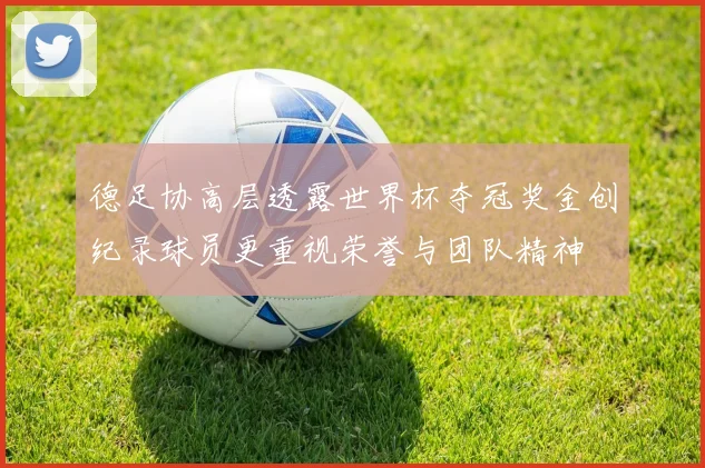 德足协高层透露世界杯夺冠奖金创纪录球员更重视荣誉与团队精神