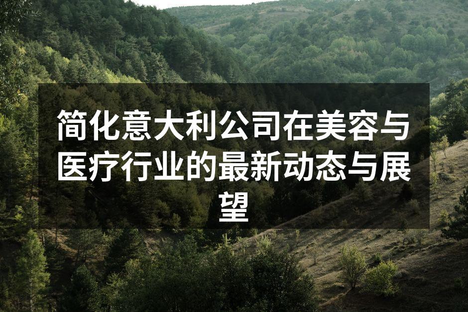 简化意大利公司新品发布会现场